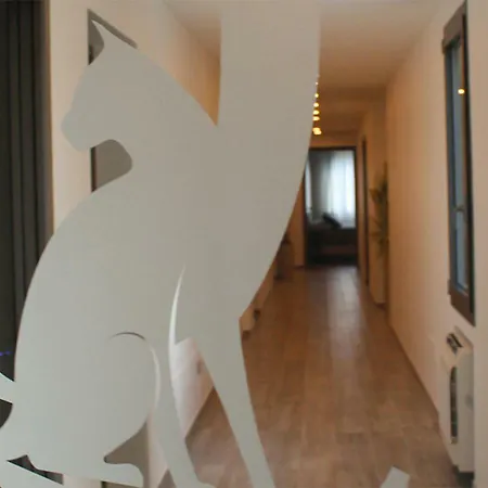 Quattro Gatti Rooms&suite Hotel